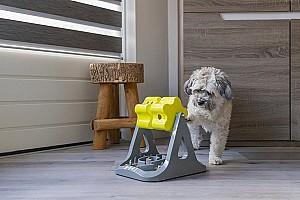 Jucarie pentru caine Beeztees Brain Game Rodar