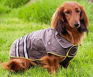  Beeztees SEJA Grey/Yellow 24 cm (766590)