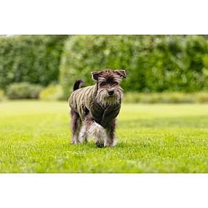  Beeztees Victoria Green 36