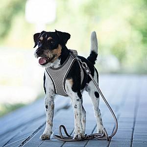 Ham pentru caini Max & Molly Matrix 2.0 Beige XS-S