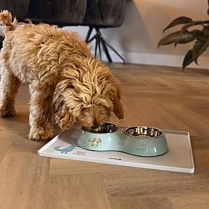 Bol de hrana pentru caini Beeztees Droppy Green 350 ml