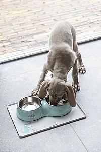 Bol de hrana pentru caini Beeztees Droppy Green 350 ml