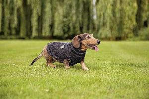  Beeztees Celia Dark Grey XS