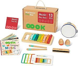 Jucarie muzicala Tooky Toy BCTJ685