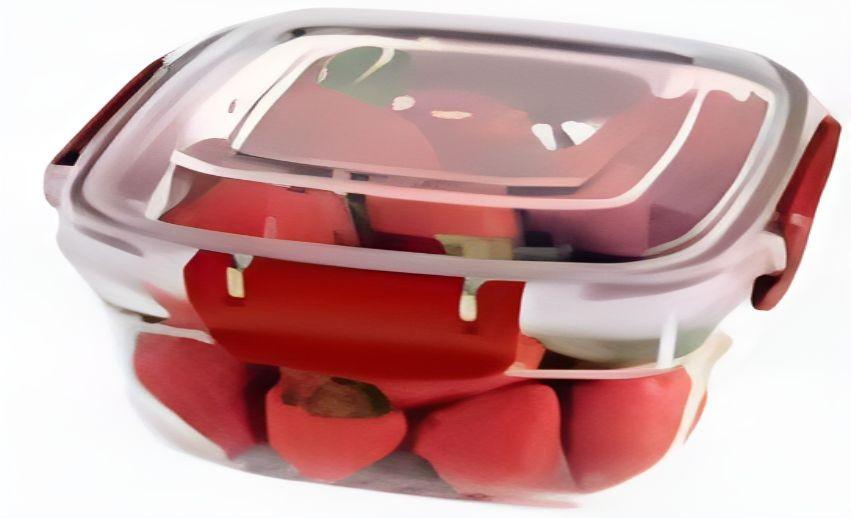 Set de recipiente alimentare Dunya D30813