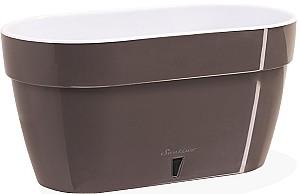  Santino ASTI Window Box 12l