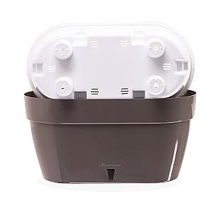  Santino ASTI Window Box 12l