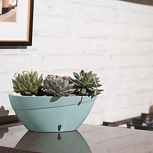  Santino Calipso 3.8l