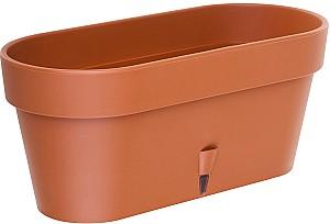  Santino Latina Window Box