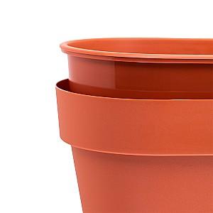  Santino Latina Window Box