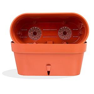  Santino Latina Window Box