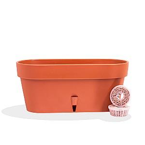  Santino Latina Window Box