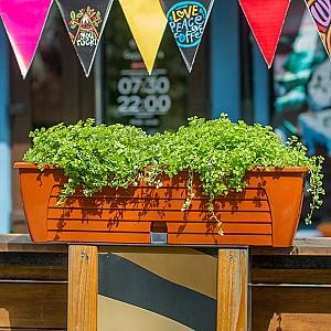  Santino Lido Window Box