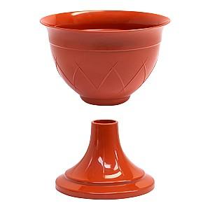  Santino LILIA pe picior 14l