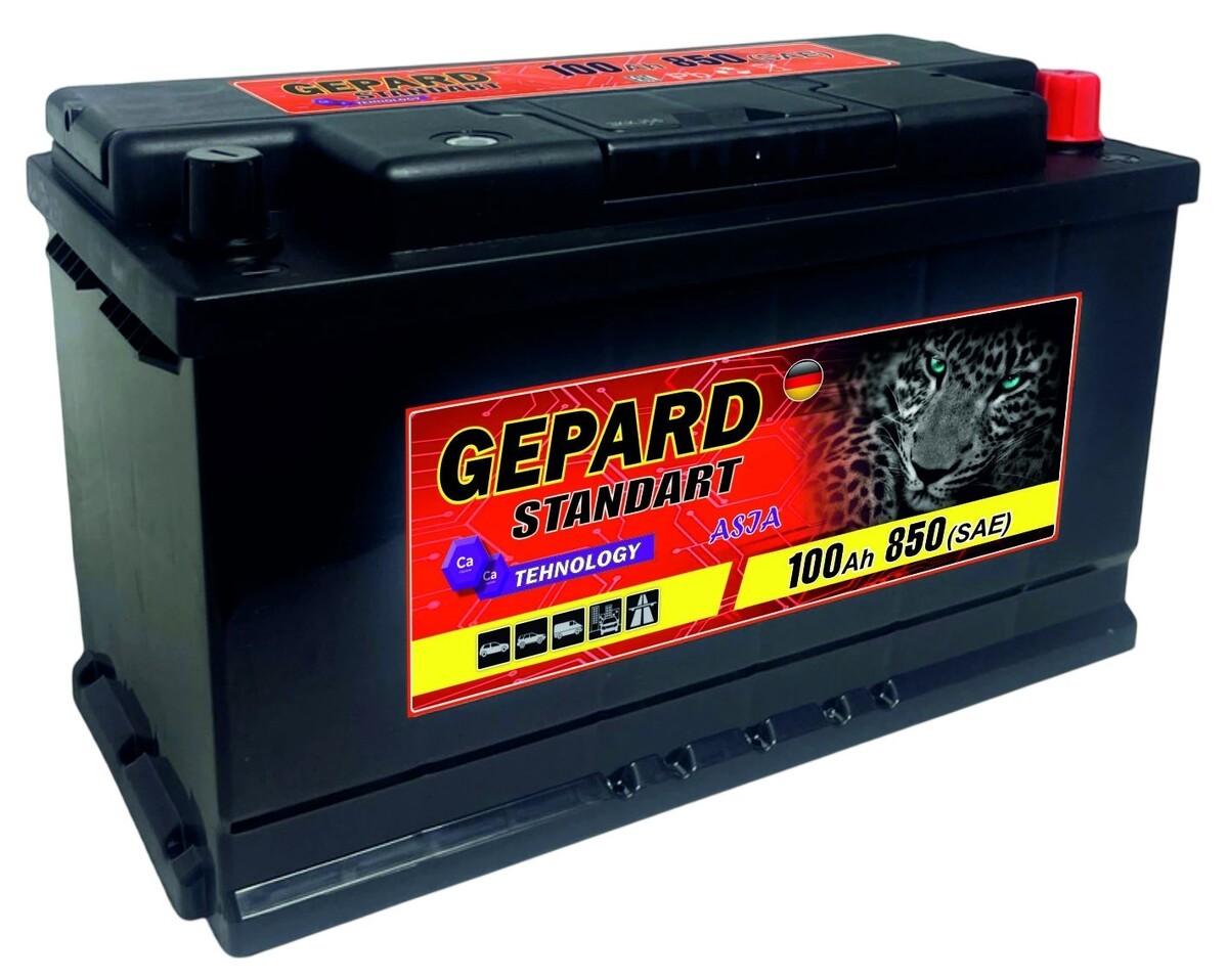 Acumulator auto GEPARD Standart 100 AH 850A