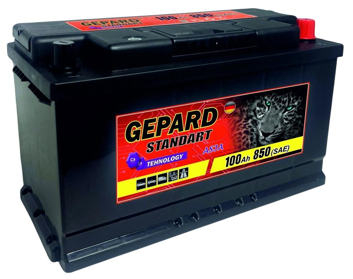 Acumulator auto GEPARD Standart 100 AH 850A