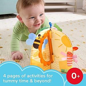 Jucarie bebelus Fisher  price Anotimpurile (JKP53)