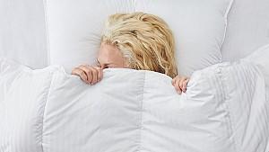 Plapuma Polydaun Liv dekbed 4-seizoenen 240x220 White
