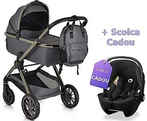 Carucior 2 in 1 Moni iClick Gray