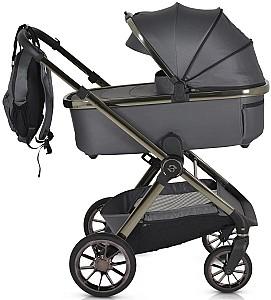 Carucior 2 in 1 Moni iClick Gray