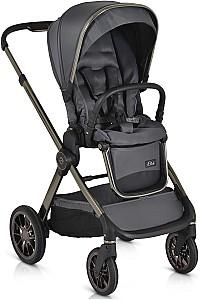 Carucior 2 in 1 Moni iClick Gray