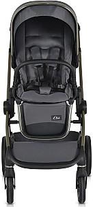 Carucior 2 in 1 Moni iClick Gray