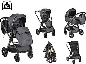 Carucior 2 in 1 Moni iClick Gray