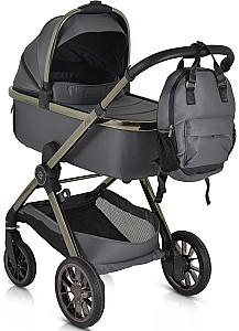 Carucior 2 in 1 Moni iClick Gray