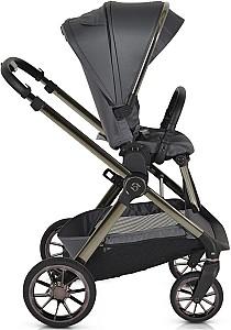 Carucior 2 in 1 Moni iClick Gray