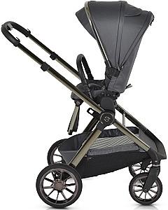 Carucior 2 in 1 Moni iClick Gray