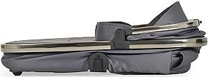 Carucior 2 in 1 Moni iClick Gray
