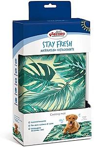 Pat pentru caine Record Stay Fresh Giungla (1354.1)