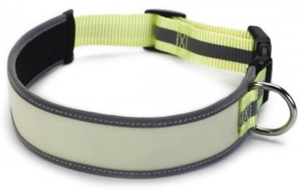 Zgarda pentru caini Beeztees Glow in the Dark (749826)