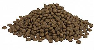 Hrana uscata pentru caini Fitmin Puppy Mini Lamb&Beef 12kg