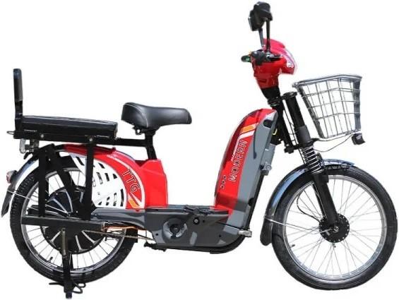 Bicicleta electrica TT AGRO MOTO Modern EB-006