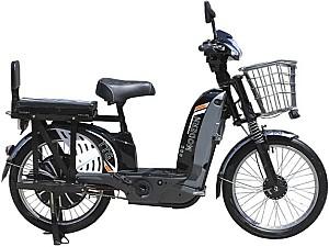 Bicicleta electrica TT AGRO MOTO Modern EB-005