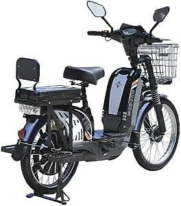 Bicicleta electrica TT AGRO MOTO Modern EB-005
