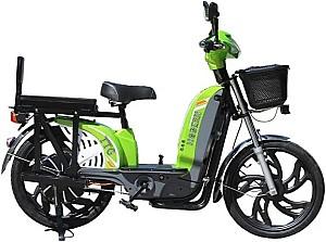 Bicicleta electrica TT AGRO MOTO Modern EB-004