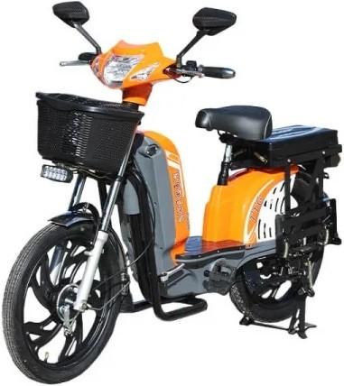 Bicicleta electrica TT AGRO MOTO Modern EB-003