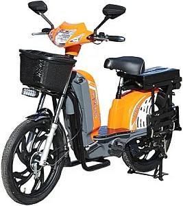 Bicicleta electrica TT AGRO MOTO Modern EB-003