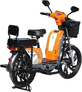 Bicicleta electrica TT AGRO MOTO Modern EB-003