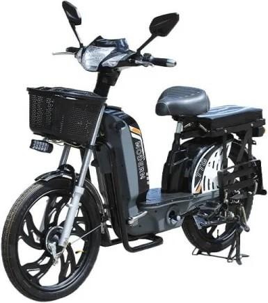 Bicicleta electrica TT AGRO MOTO Modern EB-001