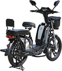 Bicicleta electrica TT AGRO MOTO Modern EB-001