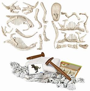 Set de cercetare pentru copii AS Company Dinozauri: T-Rex si Triceratop RO (1026-50749)
