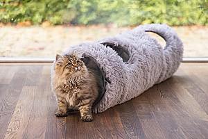 Jucarie pentru pisica Beeztees Nona Grey (704793)