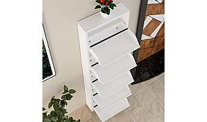 Dulap pentru incaltaminte Trendy 5 Piece Metal