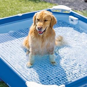 Piscina cu carcasa Intex Pet Pool (48402)