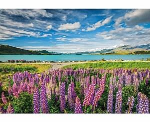 Puzzle Clementoni Lupins At Lake Tekapo (31731)