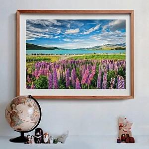 Puzzle Clementoni Lupins At Lake Tekapo (31731)