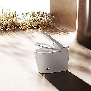 Vas WC NOMI Smart 953E Tornado